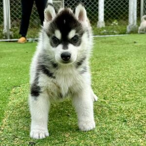 581565240_18291468946277294_6882809767779603735_n.