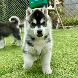 582091341_18291468964277294_2790623774106042578_n.