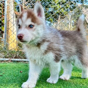 582660088_18291555673277294_3039684428924411863_n.